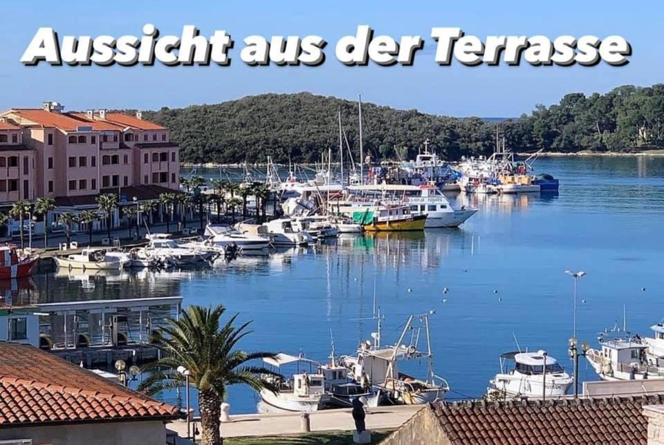 Villa Green Palm Vrsar Εξωτερικό φωτογραφία