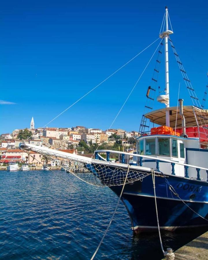Villa Green Palm Vrsar Εξωτερικό φωτογραφία
